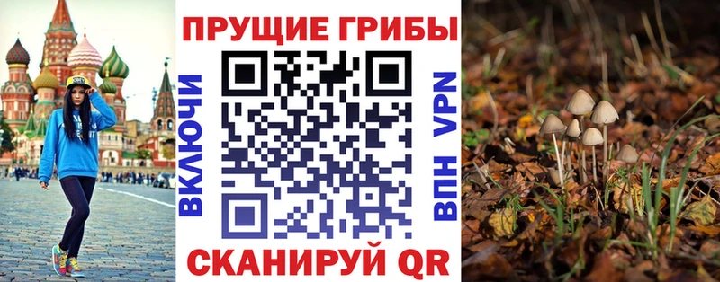 Псилоцибиновые грибы MAGIC MUSHROOMS  цены наркотик  Балей 